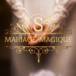 Mariage Magique - Fotógrafo em Bauru