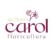 Floricultura As Flores da Carol - Vila A
