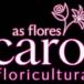 Floricultura As Flores da Carol - Vila A