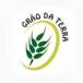 Grão da Terra Dracena
