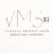 VMS Arquitetura