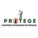 Dedetizadora Protege