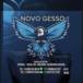 Novo Gesso
