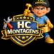 Henrique Montador de móveis