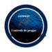 CCFpest Controle de Pragas