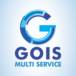 Gois Multi Service