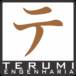 Terumi Engenharia