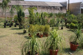 Foto de Botucatu Garden em Botucatu, SP por Solutudo