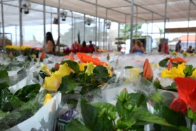 Foto de Botucatu Garden em Botucatu, SP por Solutudo