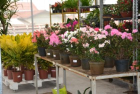 Foto de Botucatu Garden em Botucatu, SP por Solutudo