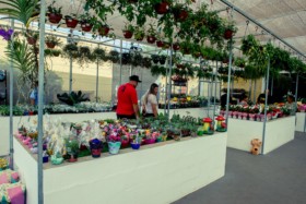Foto de Botucatu Garden em Botucatu, SP por Solutudo