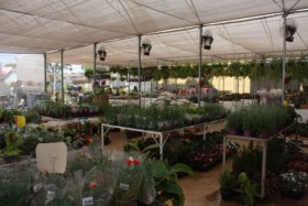Foto de Botucatu Garden em Botucatu, SP por Solutudo