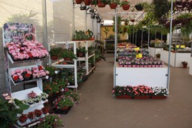 Foto de Botucatu Garden em Botucatu, SP por Solutudo
