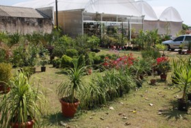 Foto de Botucatu Garden em Botucatu, SP por Solutudo