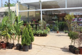 Foto de Botucatu Garden em Botucatu, SP por Solutudo
