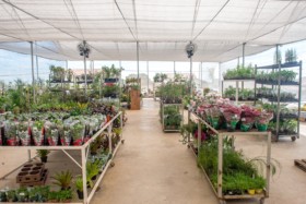 Foto de Botucatu Garden em Botucatu, SP por Solutudo