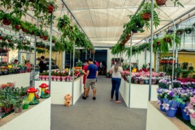 Foto de Botucatu Garden em Botucatu, SP por Solutudo