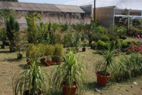 Foto de Botucatu Garden em Botucatu, SP por Solutudo