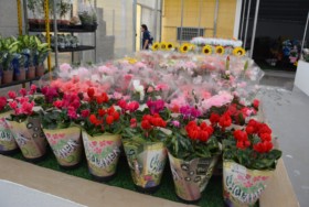 Foto de Botucatu Garden em Botucatu, SP por Solutudo