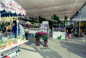 Foto de Botucatu Garden em Botucatu, SP por Solutudo