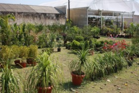 Foto de Botucatu Garden em Botucatu, SP por Solutudo
