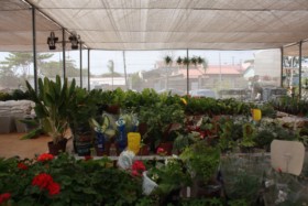 Foto de Botucatu Garden em Botucatu, SP por Solutudo