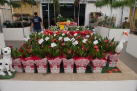 Foto de Botucatu Garden em Botucatu, SP por Solutudo