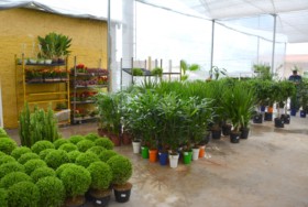 Foto de Botucatu Garden em Botucatu, SP por Solutudo