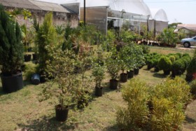 Foto de Botucatu Garden em Botucatu, SP por Solutudo