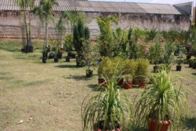Foto de Botucatu Garden em Botucatu, SP por Solutudo