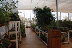 Foto de Botucatu Garden em Botucatu, SP por Solutudo