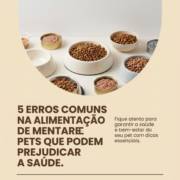 5 Erros Comuns Na Alimentação De Pets Que Podem Prejudicar A Saúde