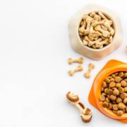 Alimentação Animal Em Itaquaquecetuba SP: Como Escolher A Melhor Ração Para Seu Pet
