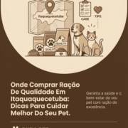 Onde Comprar Ração De Qualidade Em Itaquaquecetuba: Dicas Para Cuidar Melhor Do Seu Pet