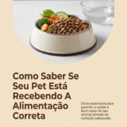 Como Saber Se Seu Pet Está Recebendo A Alimentação Correta
