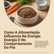 Como A Alimentação Influencia Na Energia E No Comportamento Do Pet