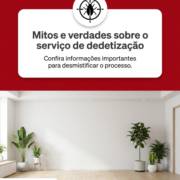Mitos e verdades sobre o serviço de dedetização
