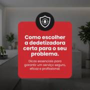 Como escolher a dedetizadora certa para o seu problema