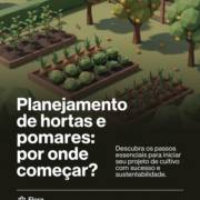 Planejamento de hortas e pomares: por onde começar?