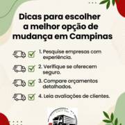 Dicas para escolher a melhor opção de mudança em Campinas