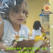 A natureza do brincar