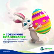O COELHINHO ESTÁ CHEGANDO