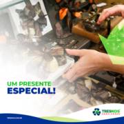 UM PRESENTE ESPECIAL!