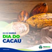 DIA DO CACAU