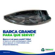 BARCA GRANDE - PARA QUE SERVE?