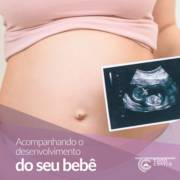 Acompanhando o desenvolvimento dos seu bebê