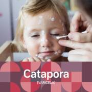 Catapora