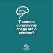 Como o coronavírus chega até o cérebro?