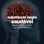 Substância negra saudável