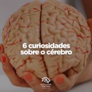 6 curiosidades sobre o cérebro
